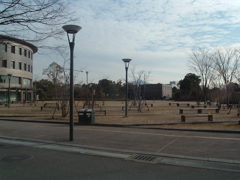 学生時代京都の写真　2004年ころ