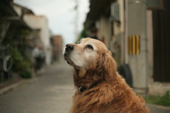 みゅうちゃん＠北条水軍ユースホステル