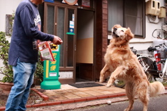 ナイスキャッチのみゅうちゃん