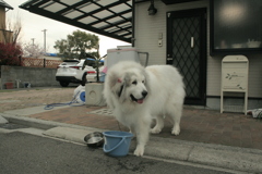 フィルムイオスキスに付属の標準ズームで写してみる