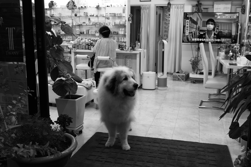 ＠2021‐09‐02