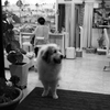 ＠2021‐09‐02