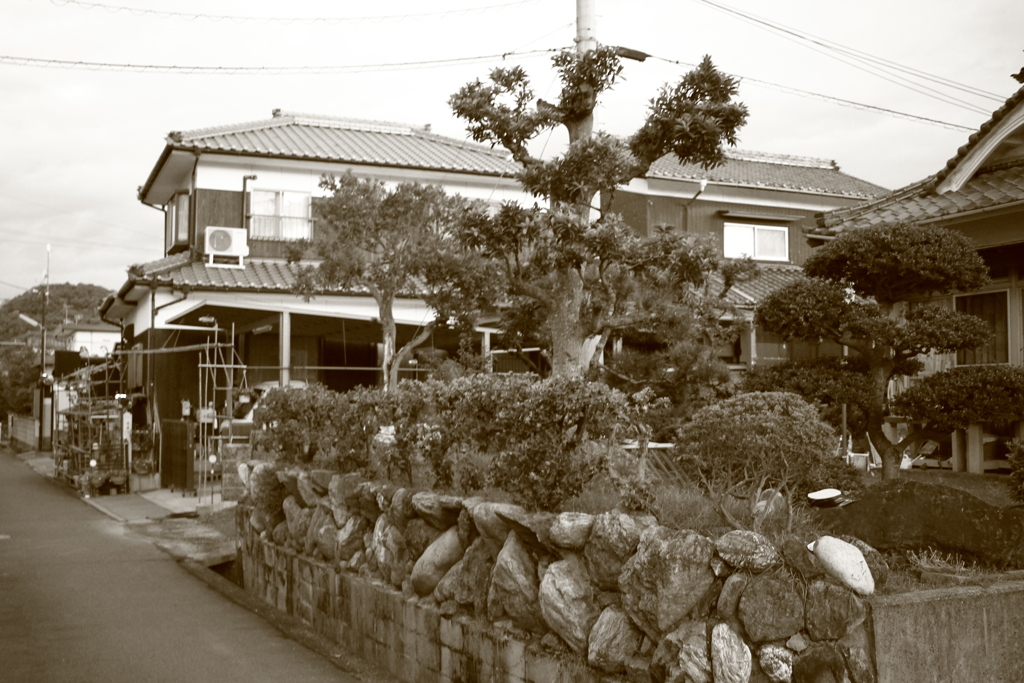 新しい朝が来た　土曜の朝だ