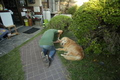 坂田さんに爪を切ってもらうみゅうちゃん