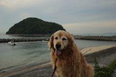 みゅうちゃんと散歩