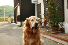 お宿番してるみゅうちゃん