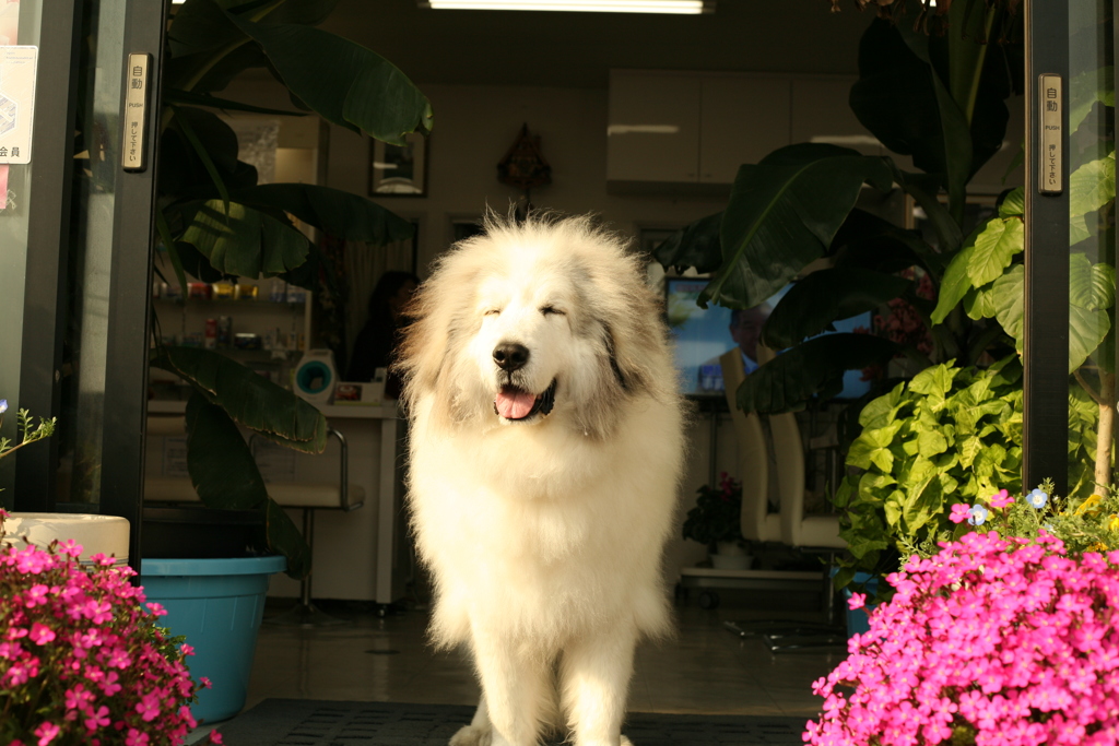 春日和＠2019-03-28