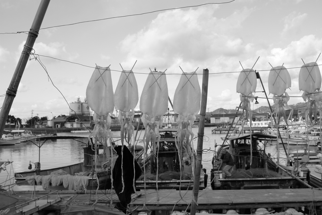 昼＠2017-12-06水曜