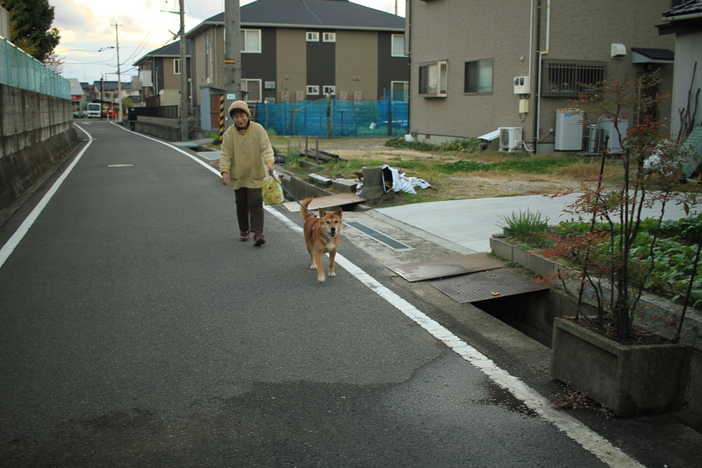 お母さんと散歩から帰ってきたモクちゃん