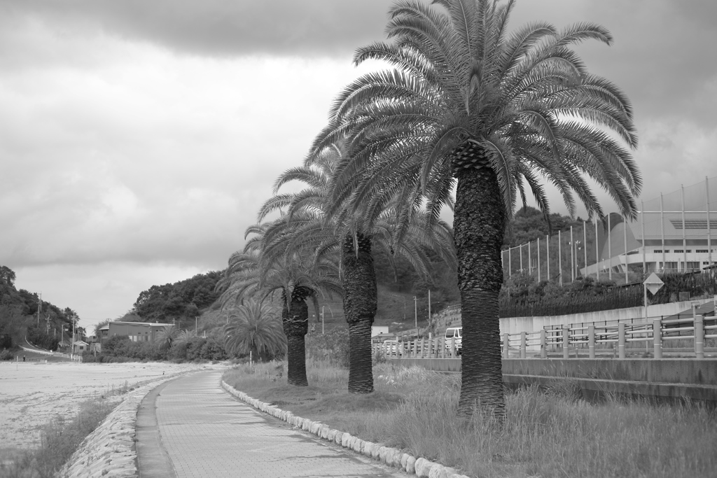 ひとっ走り道の駅まで行く