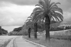 ひとっ走り道の駅まで行く