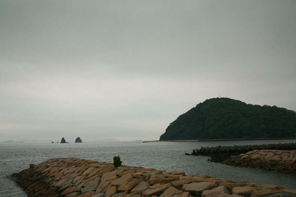 明日も天気悪そうだな