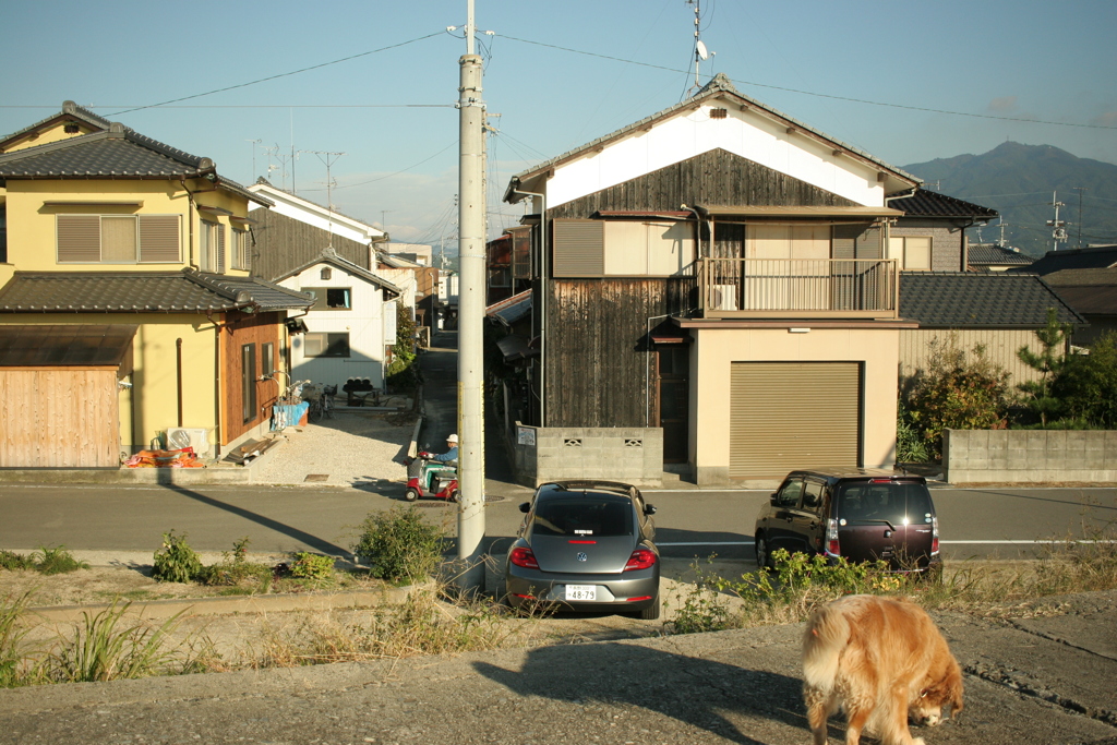 すぐ帰ろうとするみゅうちゃん