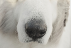 今日は本気で寒い　４