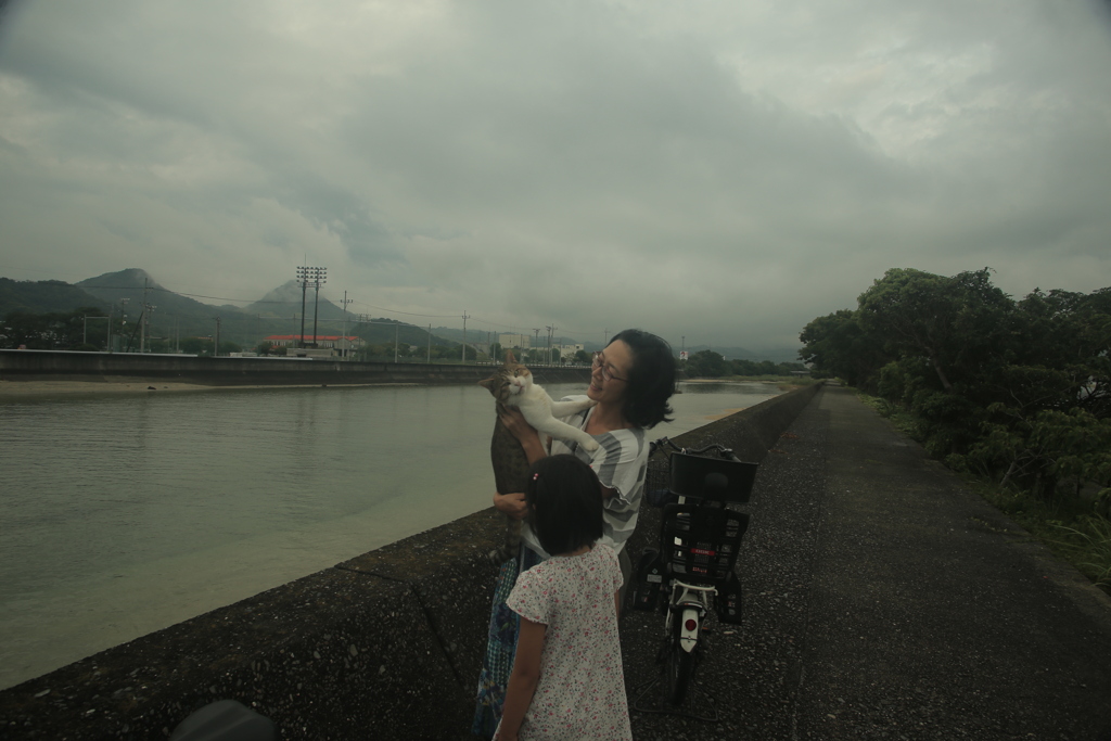 モテモテメタボスケベ猫トム君の日常