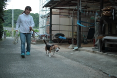 散歩から帰ってきたハチ君