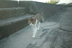 ＠2021‐08‐09