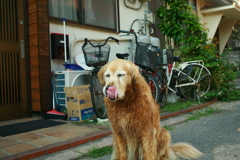 お宿番してる営業本部長みゅうちゃん