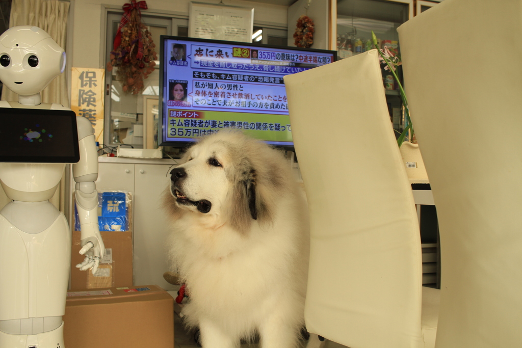 お昼のココさん