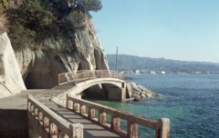 昨日　フィルムにて