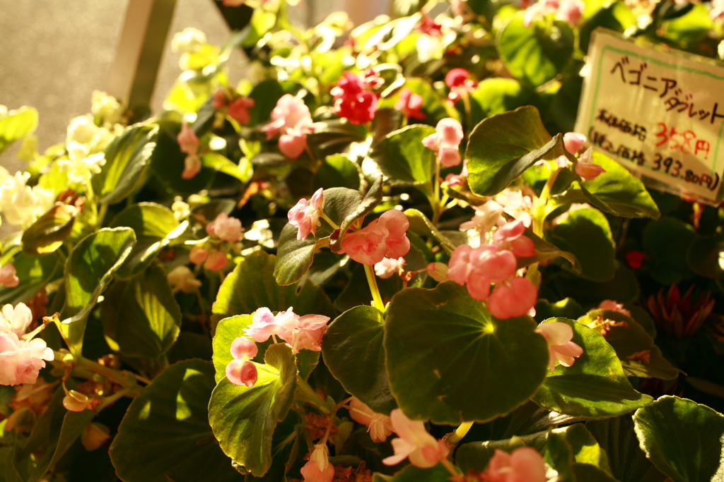 日曜＠2019‐10‐13