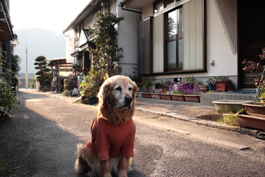 営業の準備ができてるみゅうちゃん