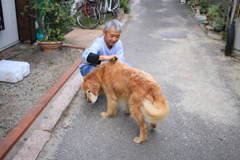 毛を解いてもらうみゅうちゃん