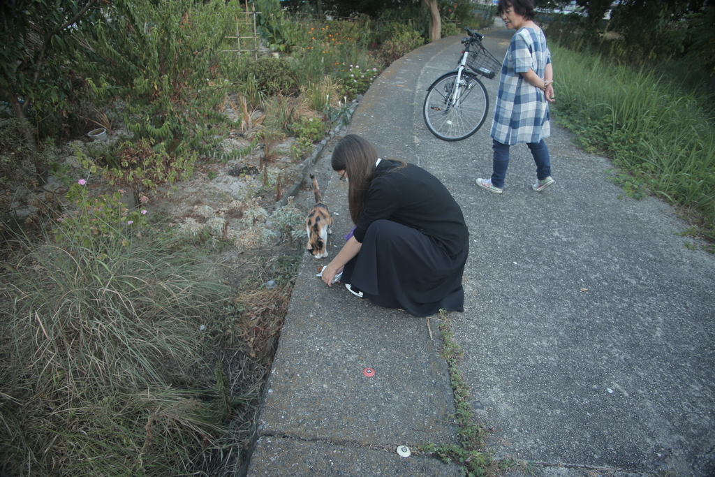 ねことお姉さん