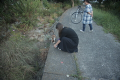 ねことお姉さん