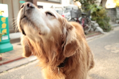 今日はあったかい