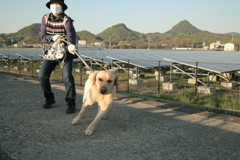 ラガーマン級アタックしてくるサーブ