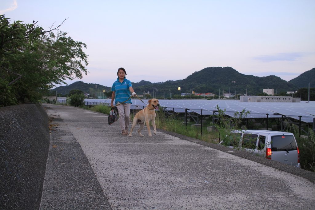 超絶甘えん坊のラブちゃん