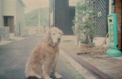 夢の世界　!(^^)!