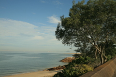 今日も暑くなるんだろうな