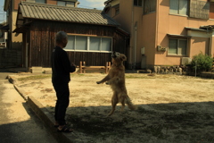 ナイスキャッチのみゅうちゃん