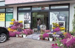 EosKiss3にて今朝　FujiC200