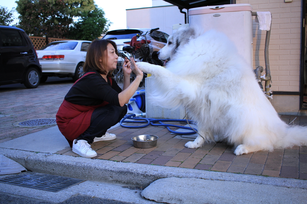 イェイをするココさん