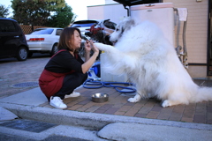 イェイをするココさん