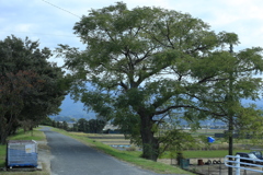 スーパーにコーヒーを買いに行く