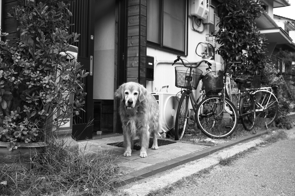 お宿番してる営業本部長みゅうちゃん