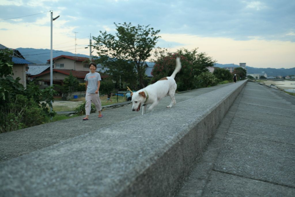 階段を下りるククルちゃん