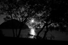 IMG_8714 bbb