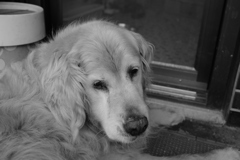 お宿番してるみゅうちゃん＠北条水軍ユースホステル