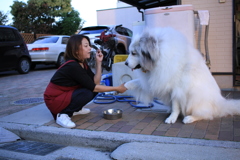 お手をするココさん