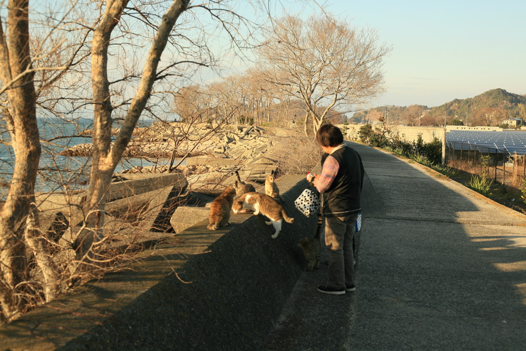 成人の日＠2019-01-14