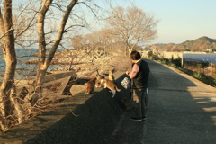 成人の日＠2019-01-14