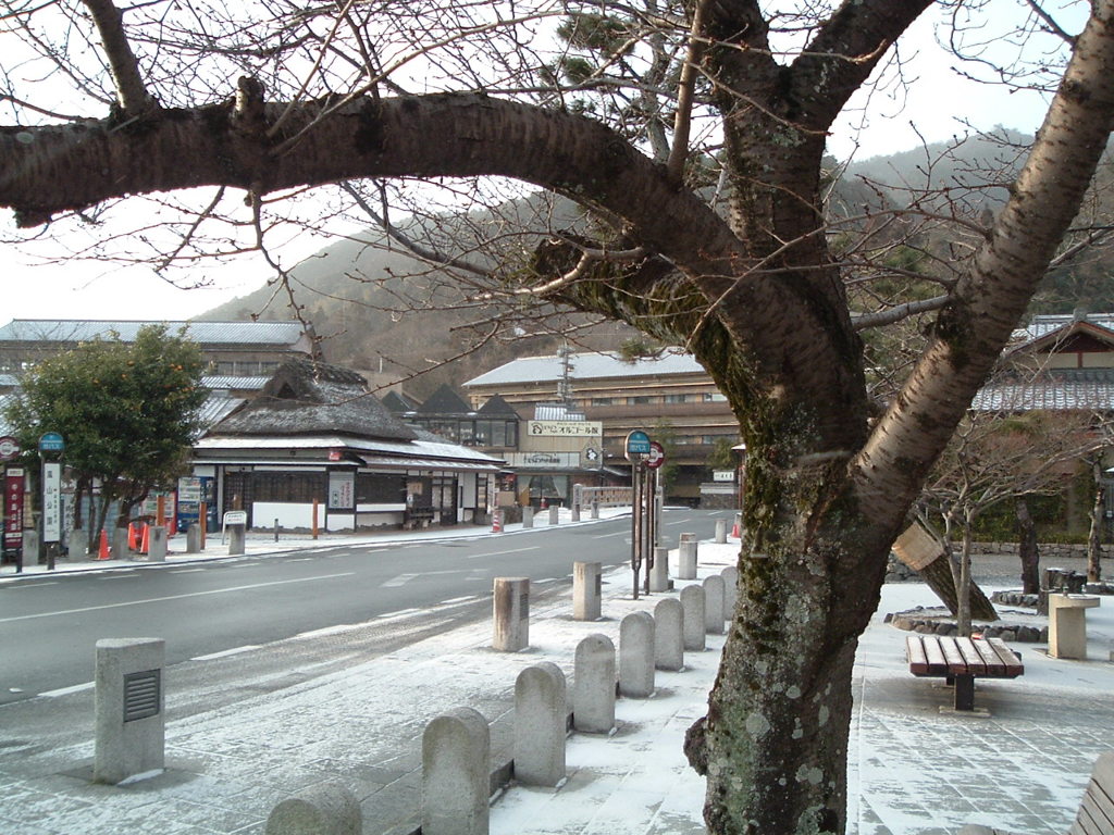 学生時代京都の写真　2004年ころ