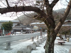 学生時代京都の写真　2004年ころ