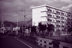 雨だから焼き直し　調色紫