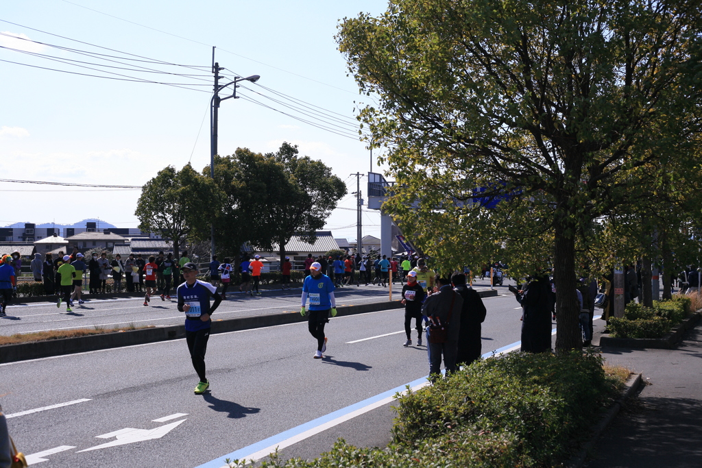 愛媛マラソン2019